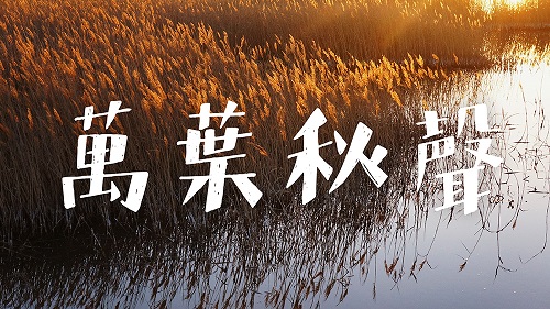 千亿体育字迹-白关手绘.JPG